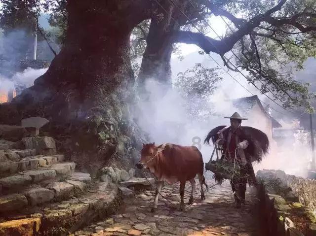 救援可怜的穴居人